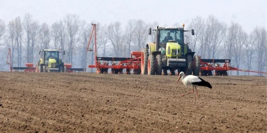 Китайська підніжка: Україна втрачає важливий ринок мінеральних добрив.