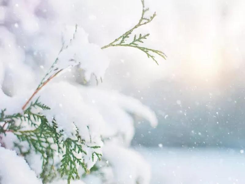 Тепліша погода з туманами та дощами наближається: синоптик поділився прогнозом на фінальний тиждень січня.