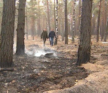 Вогняні катастрофи від обстрілів: способи відновлення сотень гектарів спалених лісів.