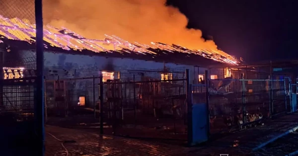 У Дніпропетровській області сталася пожежа на кінній фермі, внаслідок якої загинуло більше 140 коней.