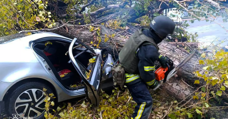 У Нікополі автомобіль був роздавлений деревом, яке впало на нього, завдавши травм водієві (фото)