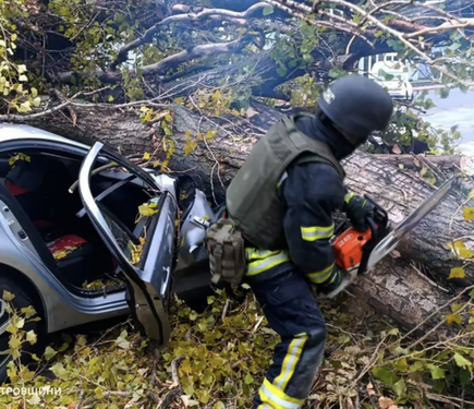 У Нікополі на автомобіль впало дерево, внаслідок чого водій отримав смертельні травми.