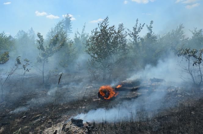 Росія здійснила удар по військовому тренувальному центру в Дніпропетровській області: є жертви і постраждалі.