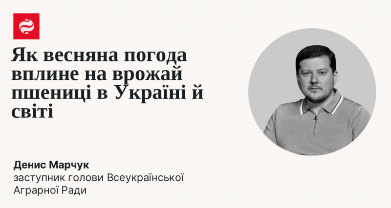 Як весняні кліматичні умови позначаться на врожаї пшениці в Україні та в інших країнах світу.