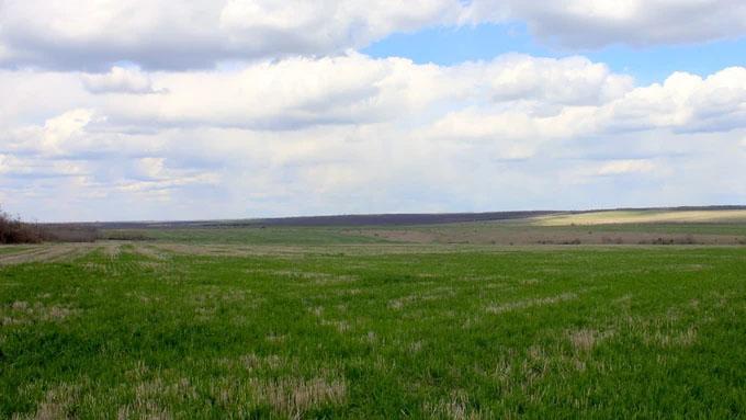 Згідно з інформацією Міністерства економіки, найбільша територія з земельного фонду була передана в суборенду на 14-річний термін за суму 78,6 мільйона гривень.