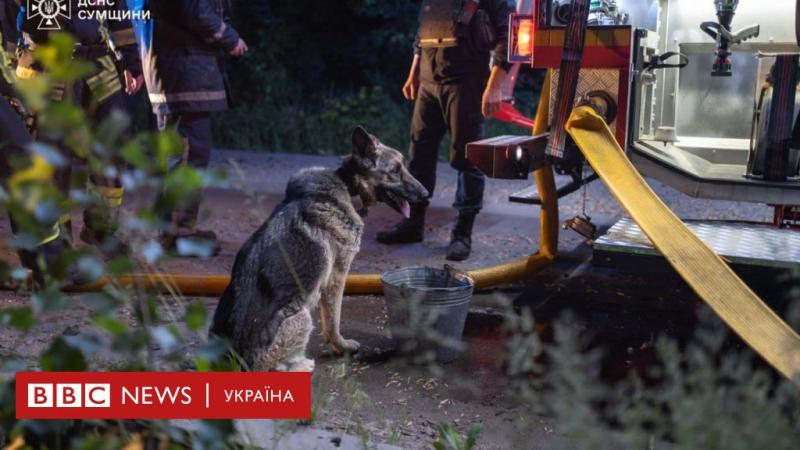 Російські війська захопили чотири села поблизу Сум, впродовж усієї ночі обстрілюючи місто за допомогою дронів та КАБів - BBC News Україна.