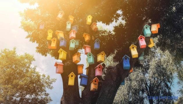 Завтра в Україні очікується суха погода, місцями температура підніметься до +33°.
