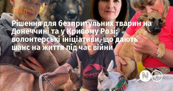Вирішення проблем безпритульних тварин у Донеччині та Кримському Розі: волонтерські програми, що відкривають можливості для виживання під час війни.