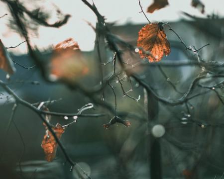 Метеорологи оновили свій прогноз на 31 жовтня.