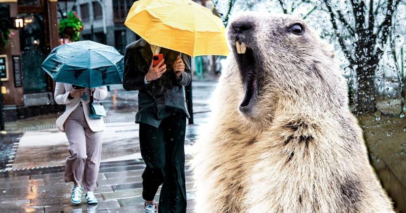 Прогноз погоди на 19 листопада: де очікуються дощі та сніг, а де температура підніметься до +20 градусів.
