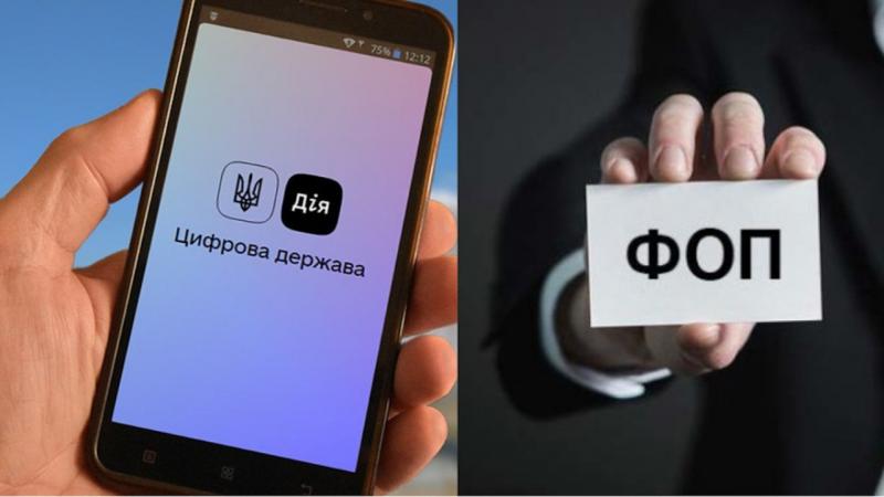 В Україні спостерігається справжній бізнес-бум: за останні два роки було зареєстровано рекордну кількість фізичних осіб-підприємців.