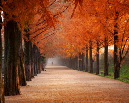 Хмарна субота: в Україні прогнозують туман і дощі.