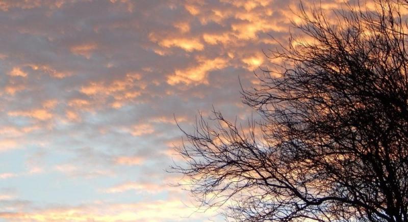 Антициклон на ім'я Фріда принесе зміни в погодні умови України, - повідомила синоптикиня Діденко.