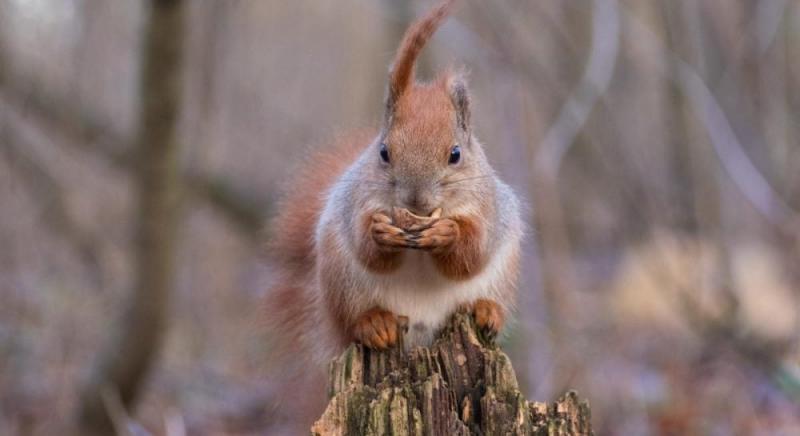 20 грудня в Україні температура повітря знизиться.