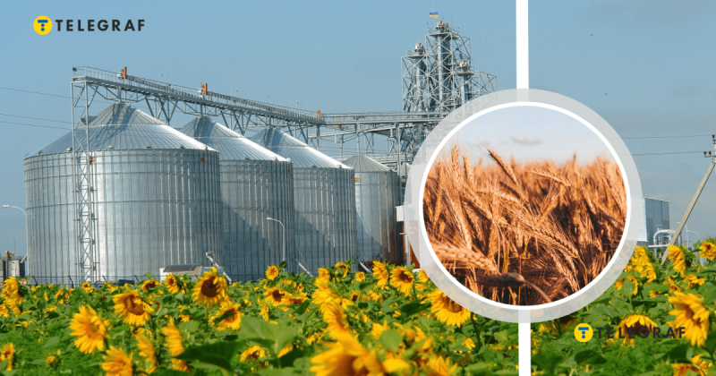 Три суттєві негативні фактори: які зміни відбулися в аграрному секторі на півдні та сході України в цьому році?