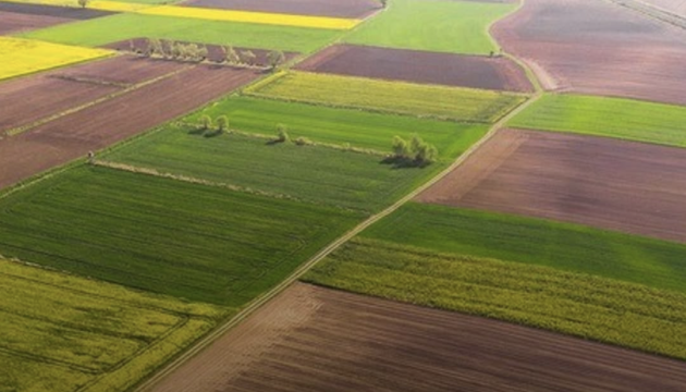 Цього року в земельний кадастр було зареєстровано понад 500 тисяч земельних ділянок.