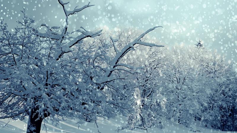 В Україні в найближчі дні спостерігатиметься підвищення температури, однак очікуються снігові опади.