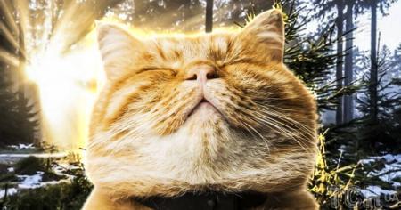 Холоди поступово відступають: синоптикиня оголосила дату, коли в Україні розпочнеться потепління.