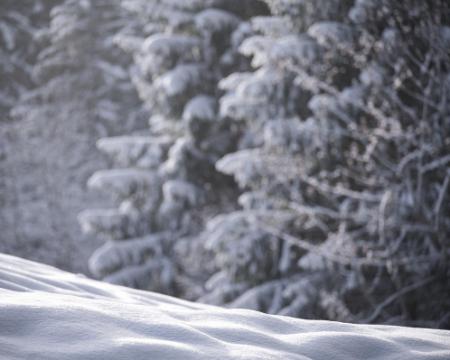 Метеорологи передбачають значне зниження температури в Україні на вихідних.