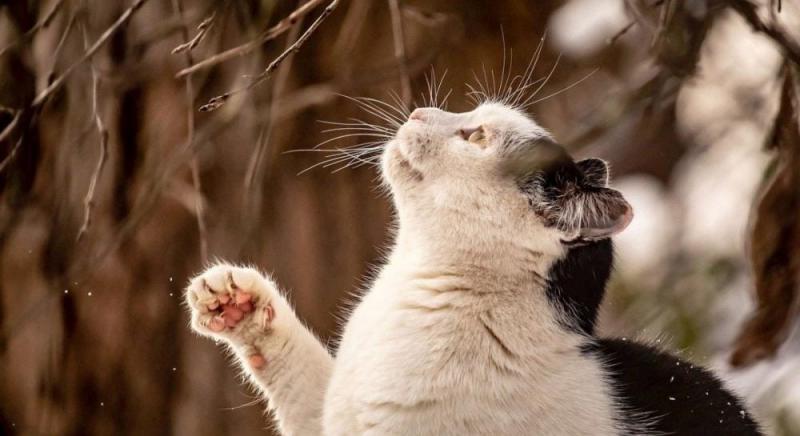 Метеоролог розповіла, на скільки довго в Україні затримається холодна погода.