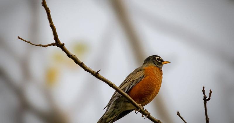 Циклони витісняють тепле повітря з території України: на заміну квітневим +19 очікується різке зниження температури.