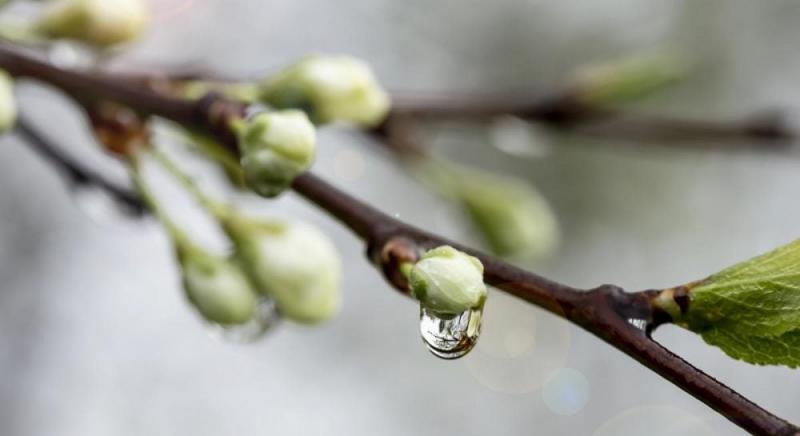 Синоптикиня Діденко повідомила, що в Україні на вихідних очікується тепла погода, але є деякі особливості.