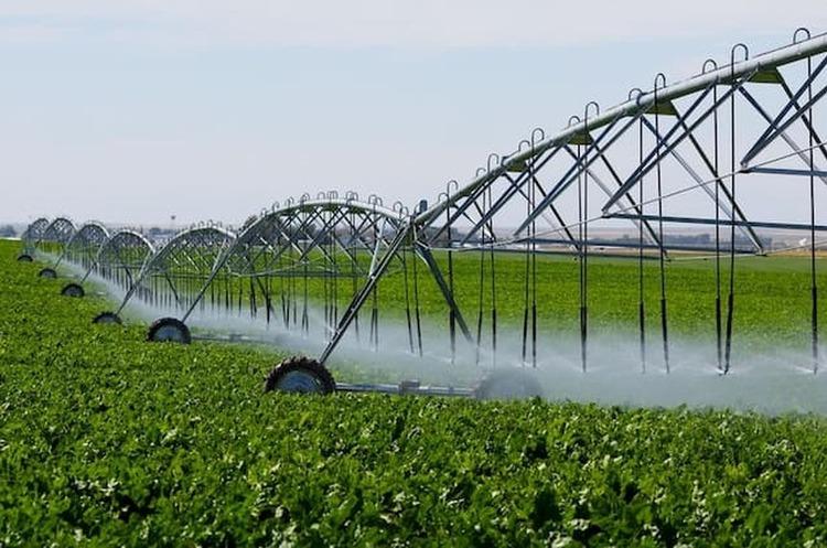 Фермери Дніпропетровської області отримають гранти на суму до 3000 доларів для підтримки своїх господарств.