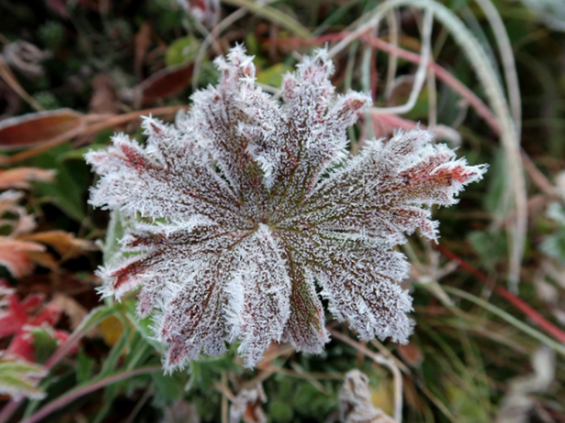 Не сподівайтеся на тепло – діставайте свої пуховики: в Україні відбудеться різка зміна погодних умов.