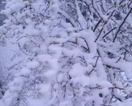 Численні регіони опинилися під сніговим покривом — незвичайні квітневі пейзажі.