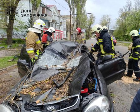 Смерть людей та численні відключення електрики - у Міністерстві внутрішніх справ повідомили про наслідки потужної бурі.