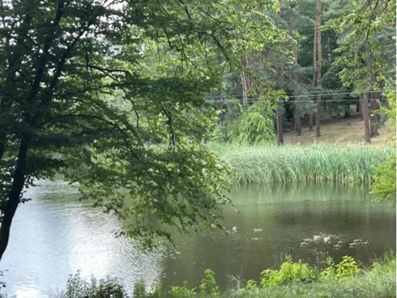 Чорноморський циклон на вихідних принесе дощі в деякі регіони України: які області постраждають 25 та 26 липня.
