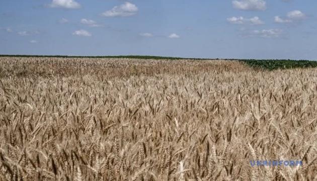 Аграрії зібрали вже понад 10,6 мільйонів тонн нового врожаю зерна.