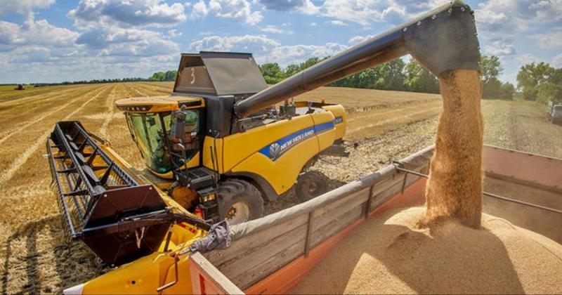 Аграрії України завершили обмолот близько 50% посівів пшениці. ДИАГРАММА