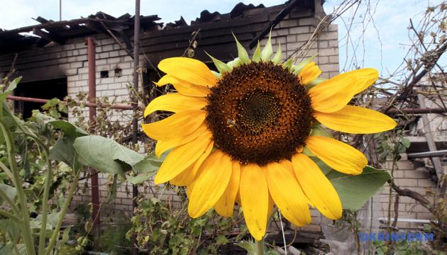 У Дніпропетровській області внаслідок обстрілів з боку Росії постраждали дві особи, а також зазнали ушкоджень місцеві підприємства.