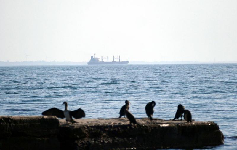 Сільгоспвиробники та представники металургійної галузі звернулися до уряду з вимогою відкрити порти.